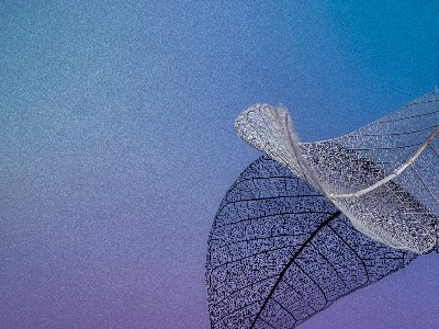 科普 | “穿透、识别、无损”，太赫兹技术的工业应用密码